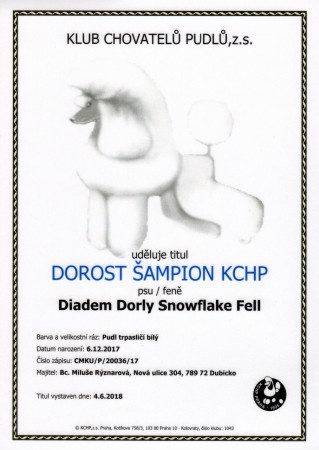 Club puppy champion KCHP